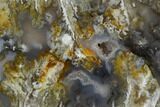 Graveyard Plume Agate Slab - Eastern Oregon #114488-1